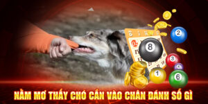 Ý Nghĩa Tâm Linh Sâu Sắc Của Giấc Mơ Chó Cắn Chân