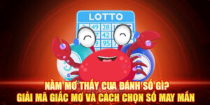 Nằm Mơ Thấy Cua Đánh Số Gì? Giải Mã Giấc Mơ Và Cách Chọn Số May Mắn