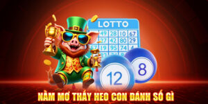 Nằm Mơ Thấy Heo Con Đánh Số Gì