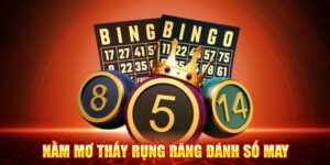 Ý Nghĩa Sâu Sắc Của Giấc Mơ Rụng Răng Trong Văn Hóa Việt Nam